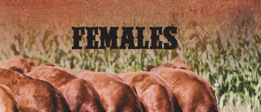 Females
