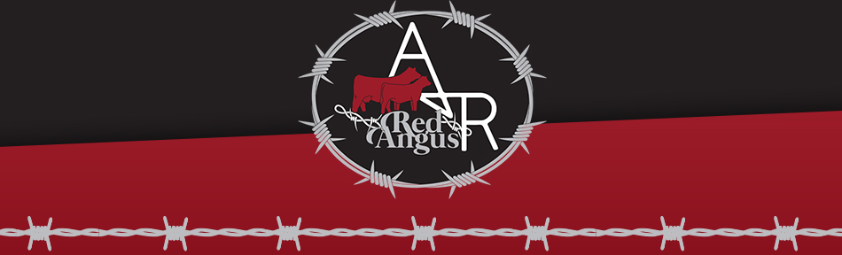 A&R Red Angus
